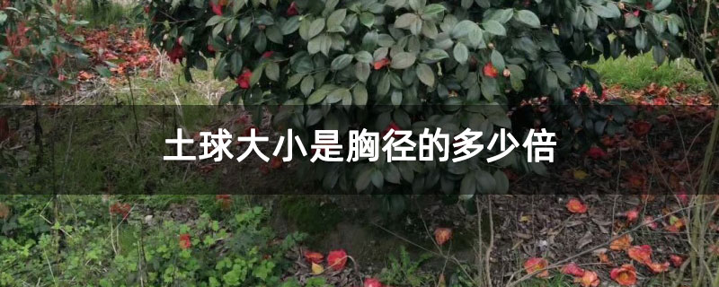 土球直径是怎么计算的