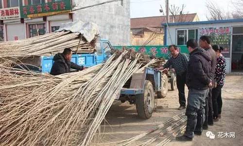 杀价过程中要这样保住“底牌.jpg