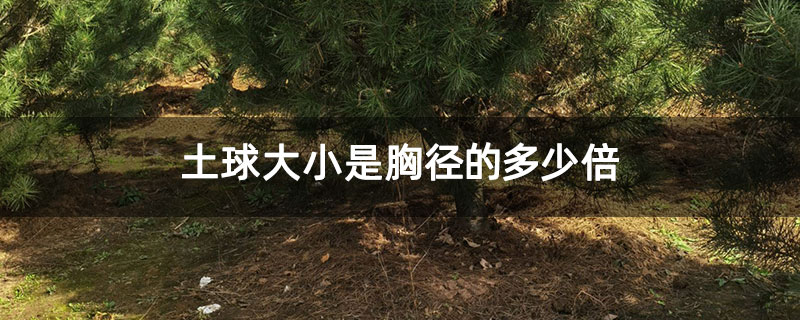 土球大小是胸径的多少倍 土球大小是胸径的多少倍