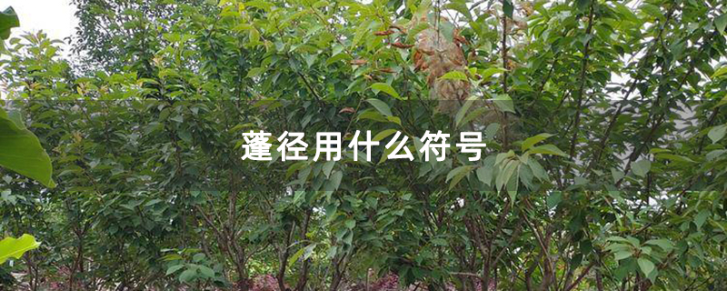 蓬径用什么符号