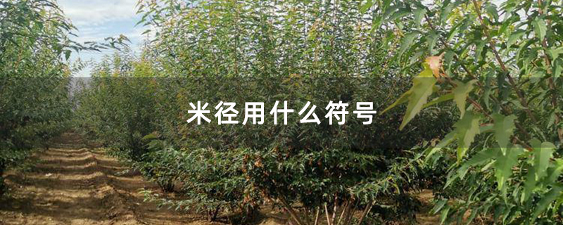 米径用什么符号