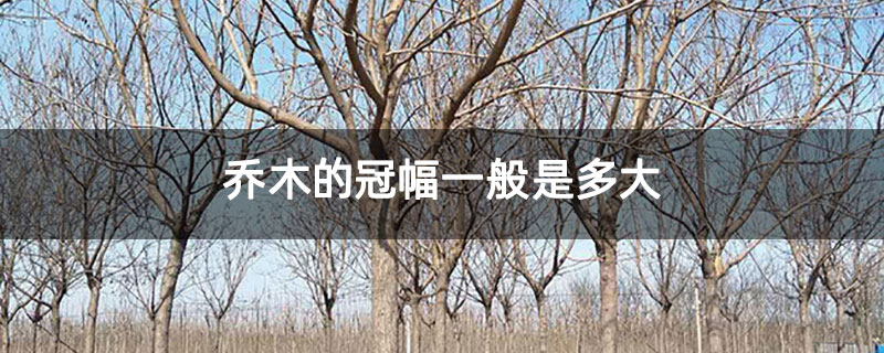 乔木的冠幅一般是多大