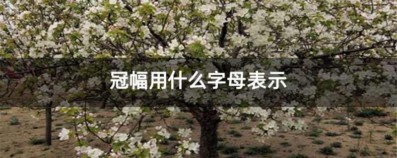 冠幅用什么字母表示 冠幅用什么字母表示