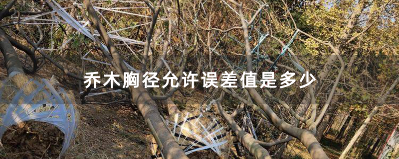 乔木胸径允许误差值是多少