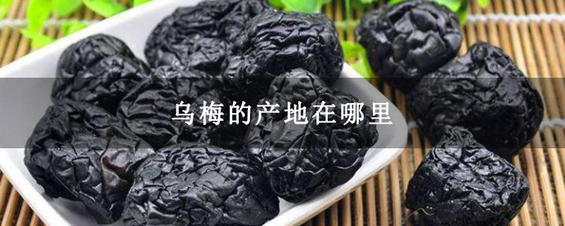 乌梅的产地在哪里