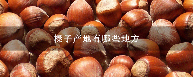 榛子产地有哪些地方