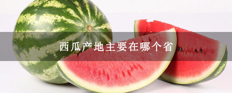 西瓜产地主要在哪个省