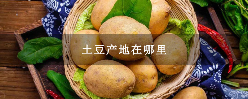 土豆产地在哪里