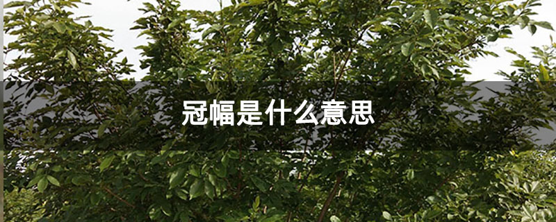 冠幅是什么意思 冠幅是什么意思