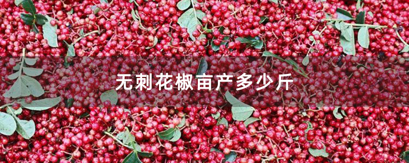 无刺花椒亩产多少斤