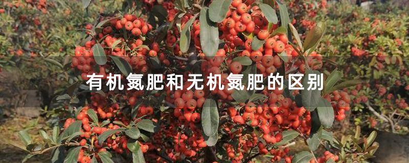 有机氮肥和无机氮肥的区别