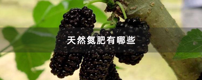 天然氮肥有哪些