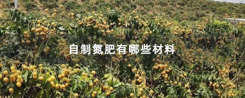 自制氮肥有哪些材料