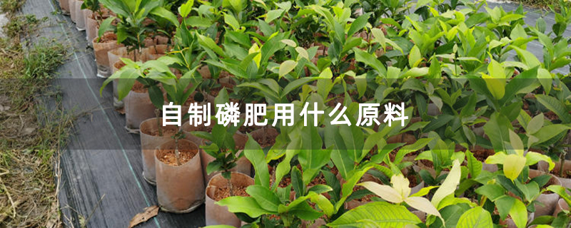 自制磷肥用什么原料