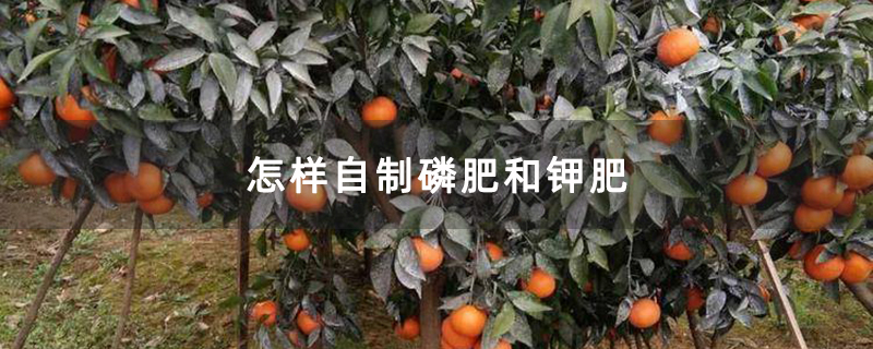 怎样自制磷肥和钾肥