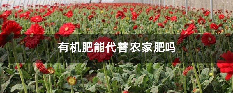 有机肥能代替农家肥吗