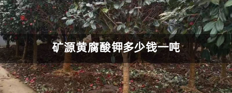 矿源黄腐酸钾多少钱一吨