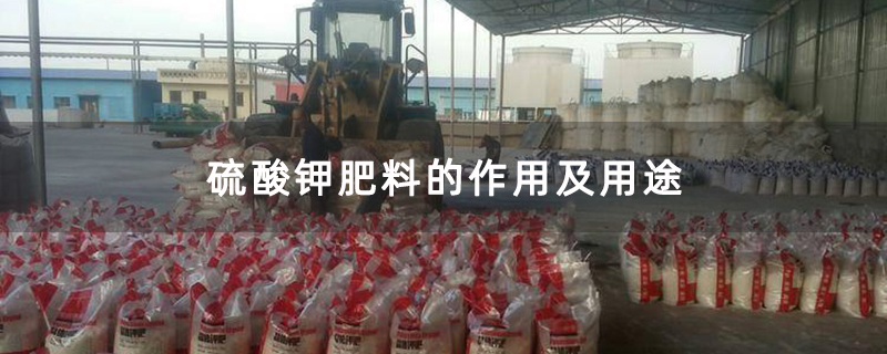 硫酸钾肥料的作用及用途