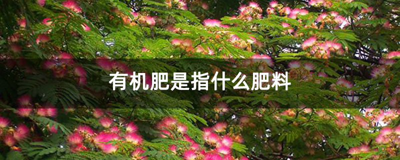 有机肥是指什么肥料