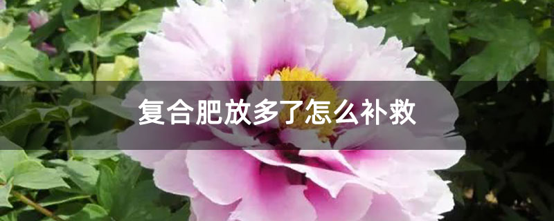 复合肥放多了怎么补救