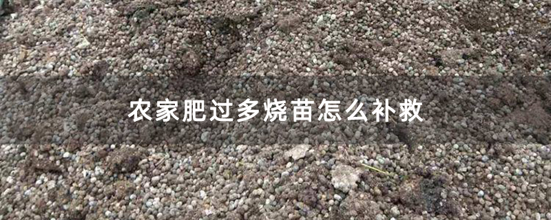 农家肥过多烧苗怎么补救