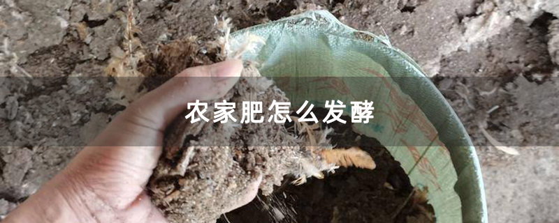 农家肥怎么发酵