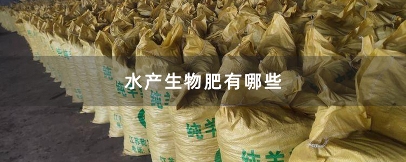 水产生物肥有哪些