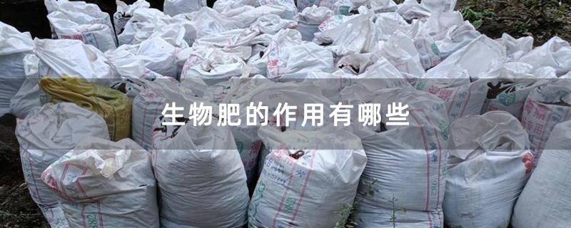 生物肥的作用有哪些