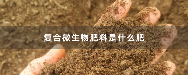 复合微生物肥料是什么肥