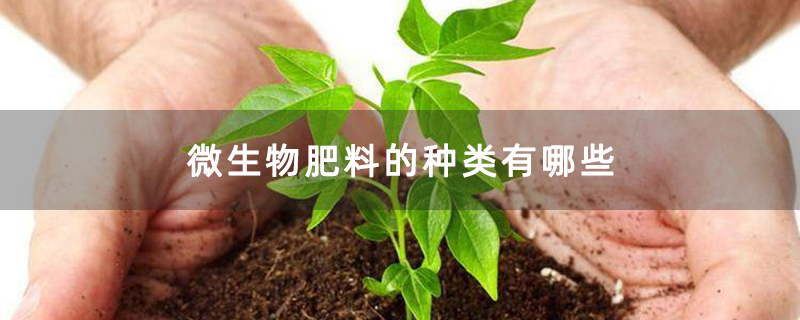 微生物肥料的种类有哪些