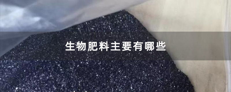 生物肥料主要有哪些