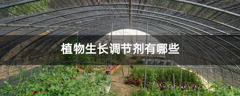 植物生长调节剂有哪些 植物生长调节剂有哪些