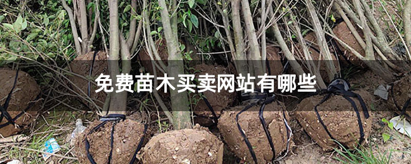 免费苗木买卖网站有哪些 免费苗木买卖网站有哪些