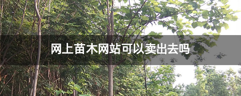 网上苗木网站可以卖出去吗 网上苗木网站可以卖出去吗