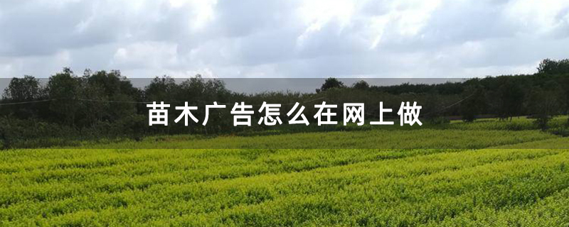 苗木广告怎么在网上做