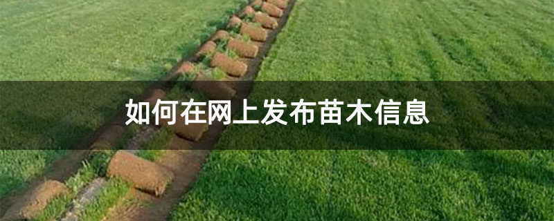 如何在网上发布苗木信息.jpg