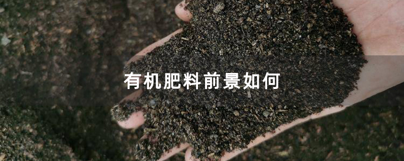 有机肥料前景如何
