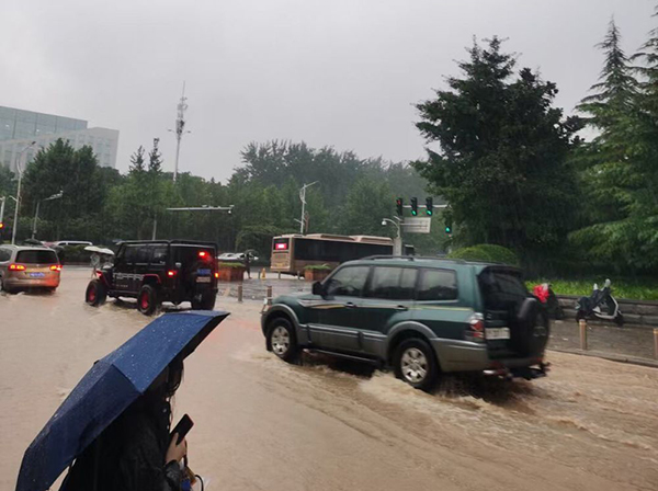 降损提示！为暴雨中的河南苗木人加油