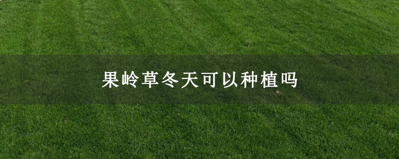 果岭草冬天可以种植吗