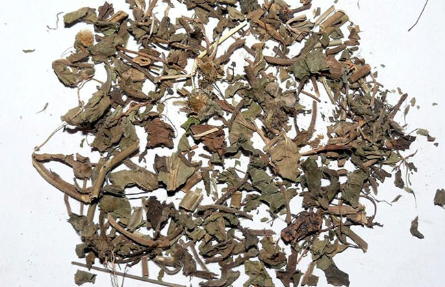 鬼羽箭