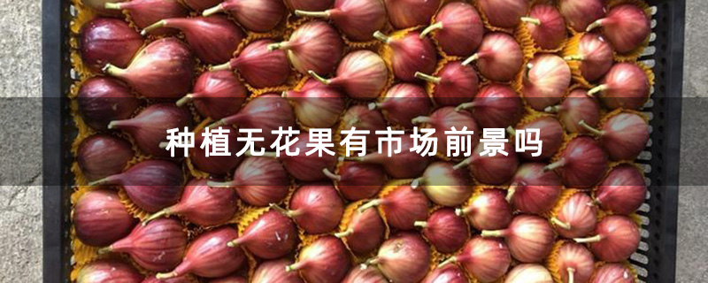 无花果