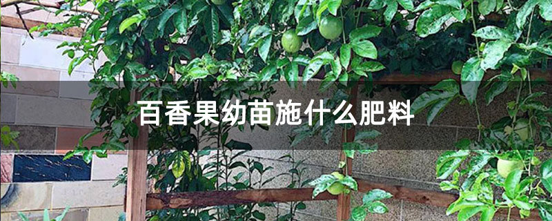 百香果幼苗施什么肥料