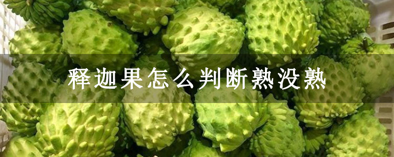 释迦果怎么判断熟没熟
