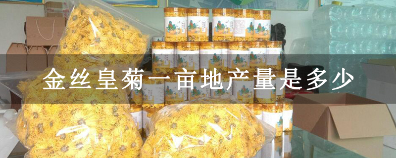 金丝皇菊一亩地产量是多少