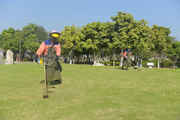 草坪修剪