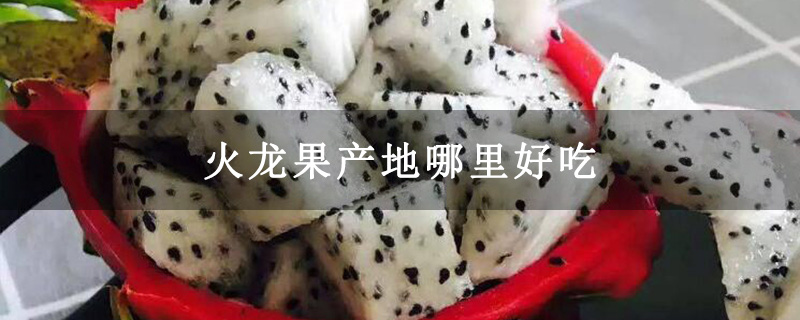 火龙果产地哪里好吃