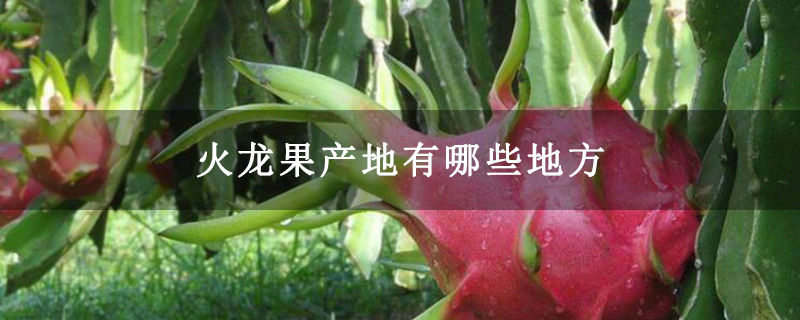 火龙果产地有哪些地方