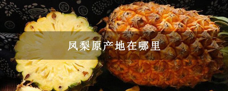 凤梨原产地在哪里
