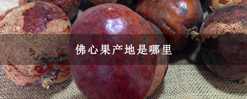 佛心果产地是哪里