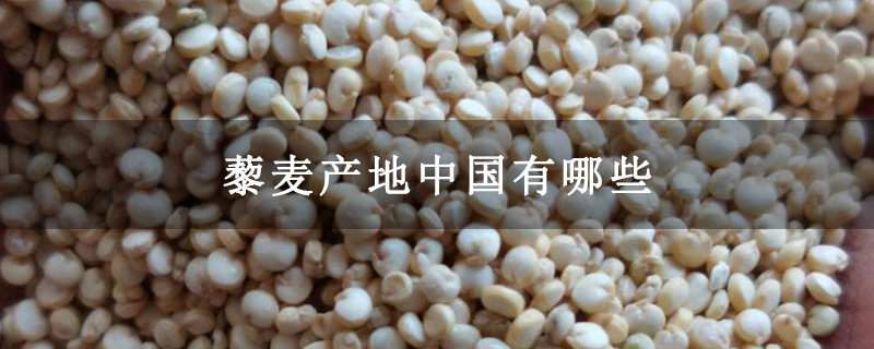 藜麦产地中国有哪些